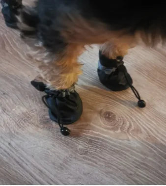 Waterproof Dog Boots — Anti-Slip Rain Shoes