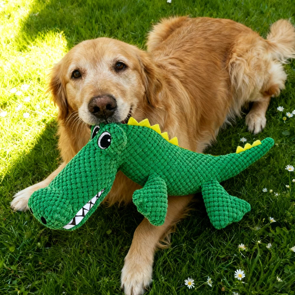 Dinosaur Squeaky Plush Chew Toy for Dogs & Cats